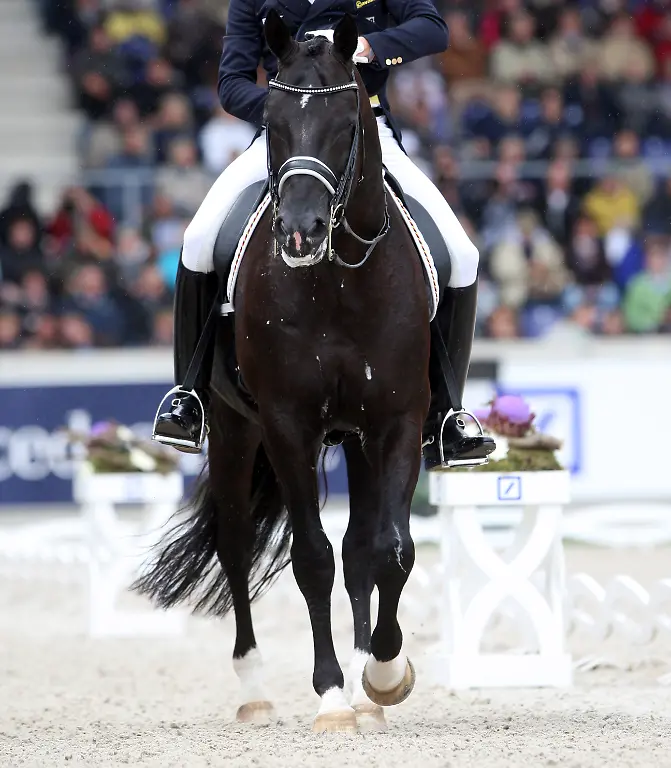 1310659931-jpg6440831694102557568