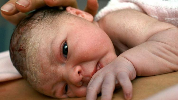 Nabelschnurblut wird abgenommen, wenn die Geburt noch nicht abgeschlossen ist. Kritiker meinen: Dann sollte das Kind eigentlich auf dem Bauch der Mutter liegen. 