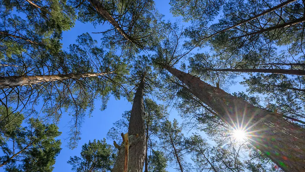 Am-Wochenende-erwartet-der-Deutsche-Wetterdienst-DWD-Sonne-und-hohe-Temperaturen-fuer-die-Hauptstadtregion