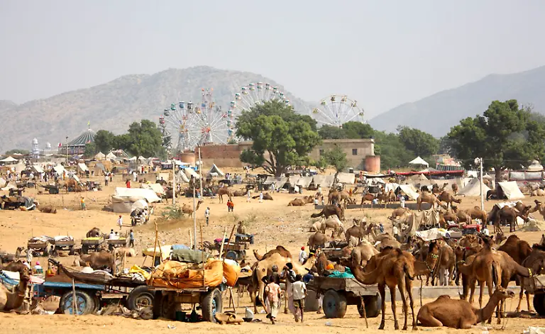 Markt-bei-Pushkar