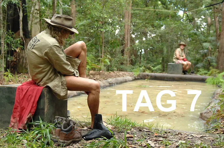 Tag7