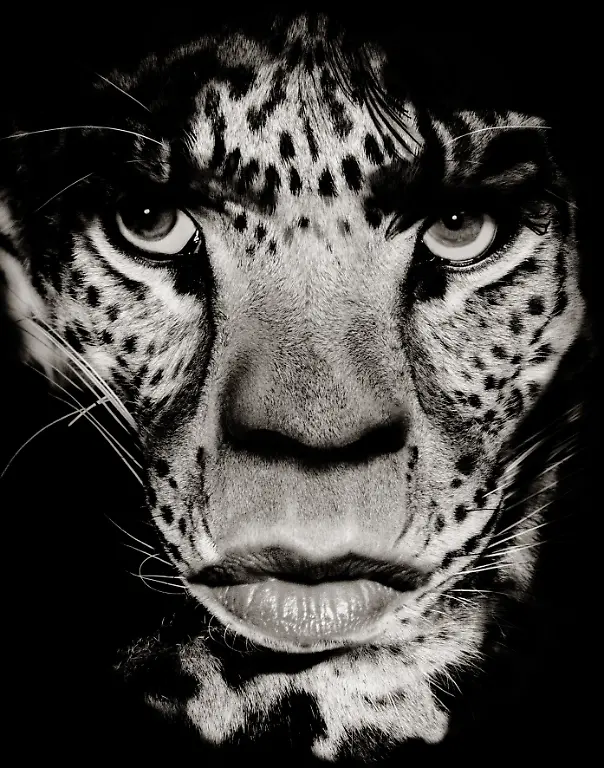 2011-Albert-Watson-courtesy-Schirmer-Mosel