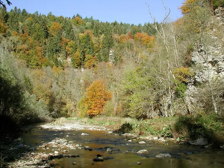 03-Wutach-unterhalb-vom-Ruemmelesteig-T-Huth