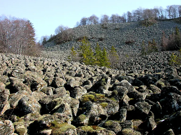 010-77-Schafstein-A-Schraft
