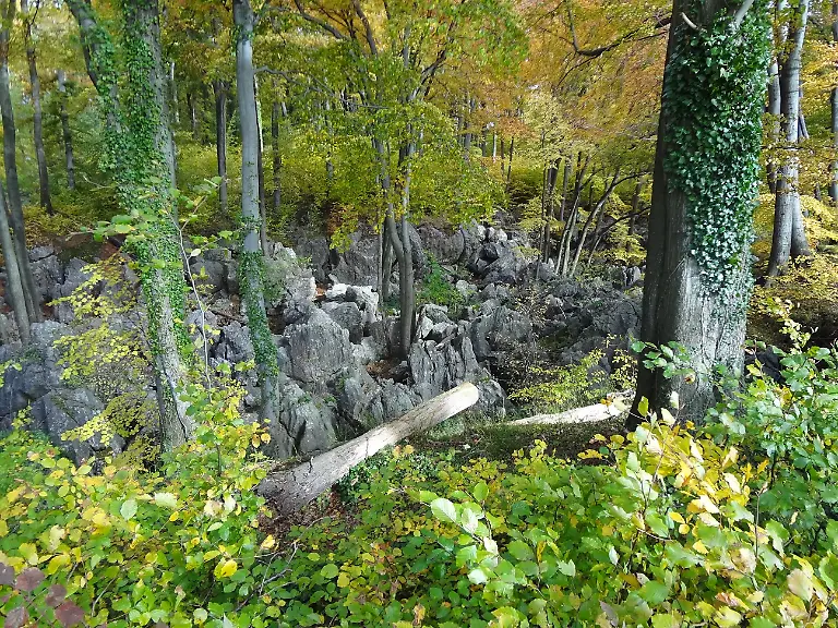 017-20111129-Felsenmeer-53