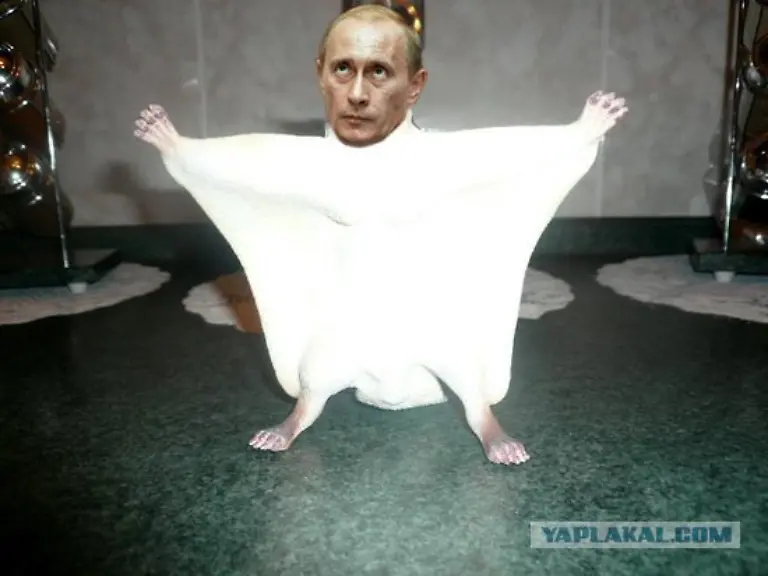 dcb2e3cafff6e09b388780a6231a5ffe-yaplakal3