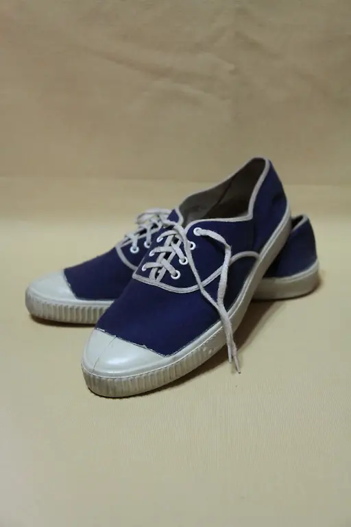 Essengeld-Turnschuhe-klein