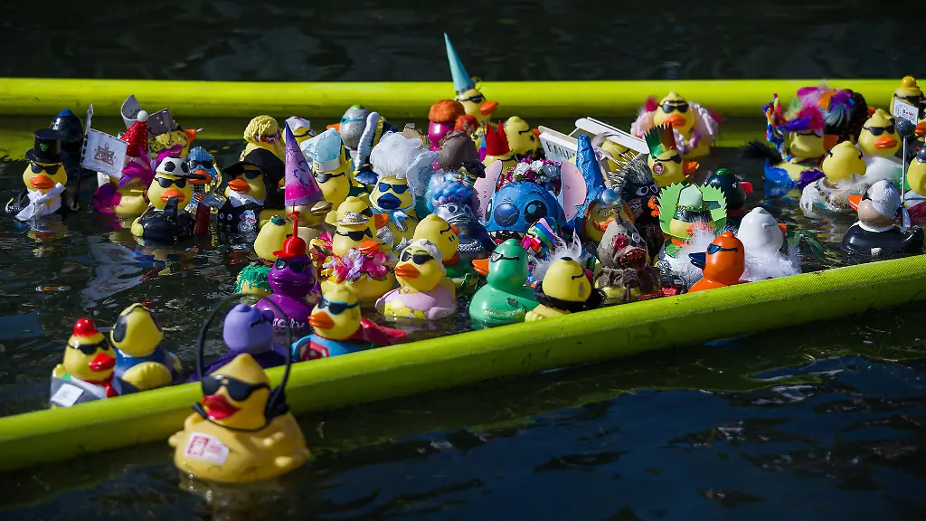 Bunte-Gummienten-liefern-sich-auf-dem-Maschsee-in-Hannover-ein-Rennen