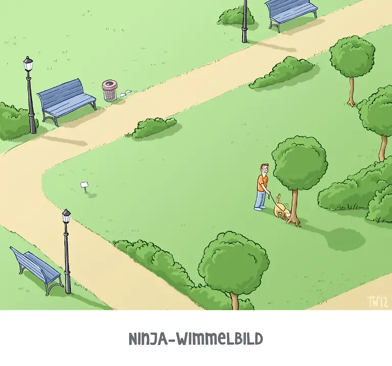TobiasWieland-Ninja