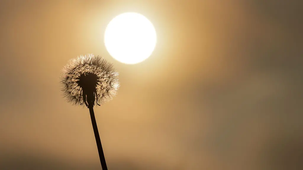 Der-Wochenanfang-im-Suedwesten-praesentiert-sich-sommerlich-aber-nicht-zu-heiss