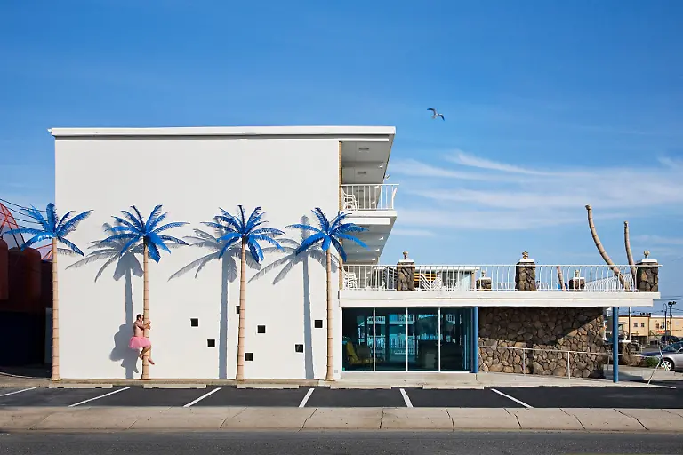 BobCarey-1920x1280-Blue-Palm-Trees