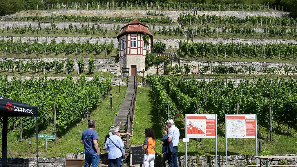 Die-Region-an-Saale-und-Unstrut-laedt-unter-anderem-mit-den-Weinbergen-ein