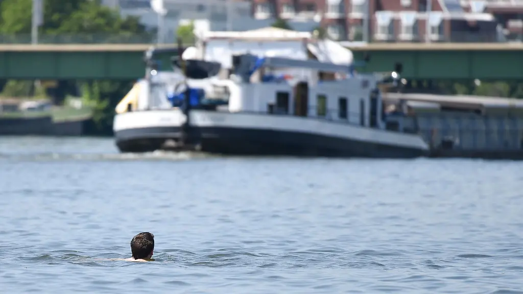 Fast-die-Haelfte-des-Wassers-im-Neckar-stammt-im-Sommer-aus-den-Klaeranlagen-der-Gegend