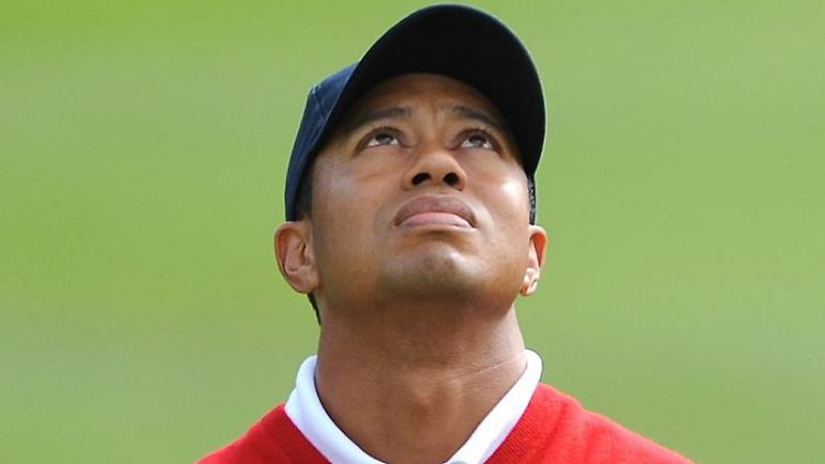 woods.jpg