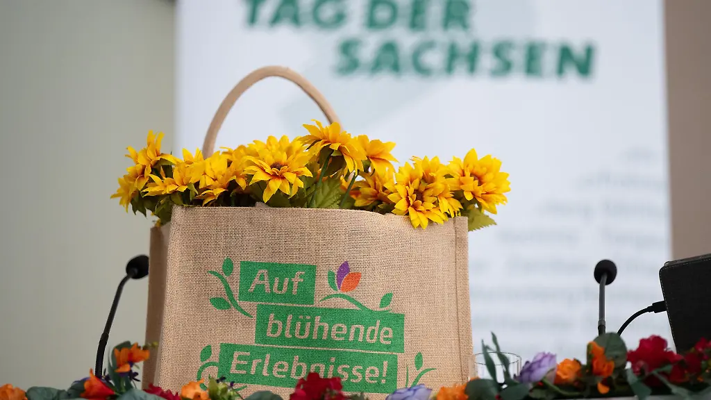 Sebnitz-und-Dolni-Poustevna-bereiten-sich-auf-den-ersten-grenzueberschreitenden-Tag-der-Sachsen-vor