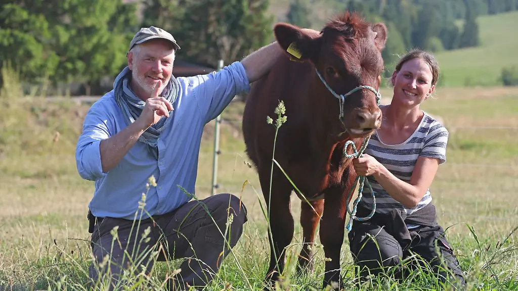 Wie-man-Rinder-stressfrei-treiben-kann-das-zeigt-Kuhfluesterer-Philipp-Wenz