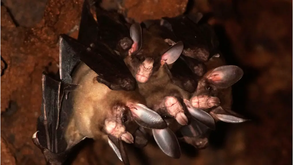 nicht-weiterverwenden