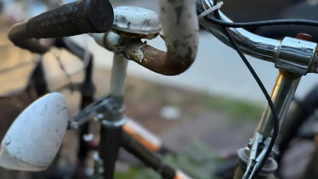 Allein-in-Karlsruhe-sind-im-vergangenen-Jahr-bis-zu-2000-Schrottfahrraeder-eingesammelt-worden