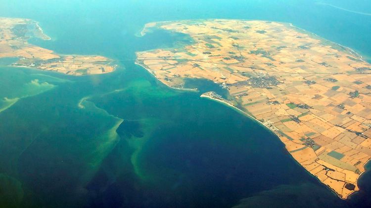 Algenteppiche treiben vor der Insel Fehmarn (r) an der schleswig-holsteinischen Ostseeküste.