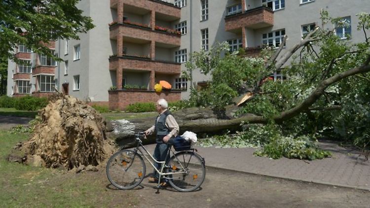 In Berlin knickten zahlreiche Bäume um.