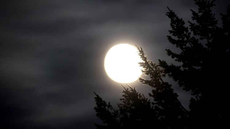Zunächst umkreiste der Mond die Erde in einem Abstand von nur 60.000 Kilometern. Die Gezeitenkräfte müssen entsprechend groß gewesen sein.
