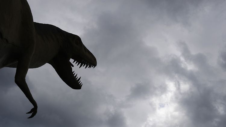 Müssen die Skulpturen im Saurierpark Kleinwelka erneuert werden?