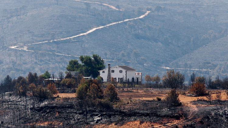 Diesen Hof in Yátova verschonte das Feuer.