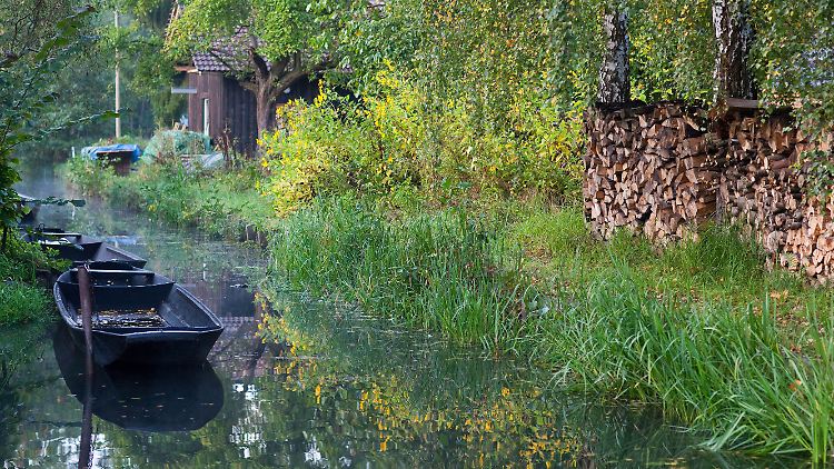 Spreewald - ein Paradies, auch für Mücken.