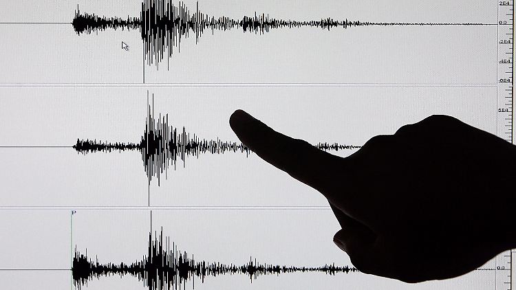 seismo.jpg