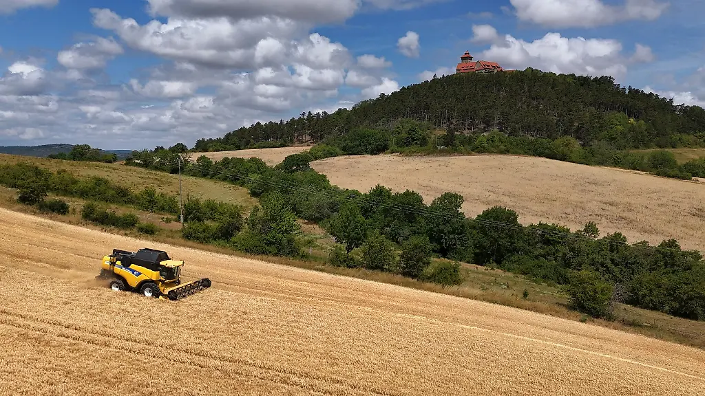 Mit-2-6-Millionen-Tonnen-haben-Thueringens-Bauern-in-diesem-Jahr-ein-Spitzenergebnis-bei-der-Getreideernte-eingefahren