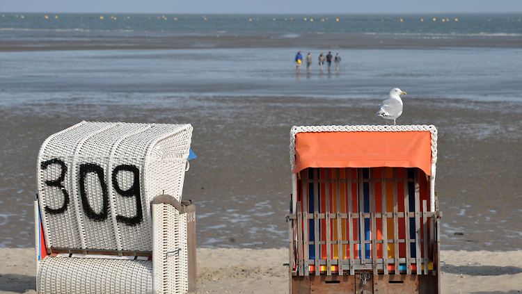 Die Durchschnittstemperatur der Nordsee steigt seit Jahren.