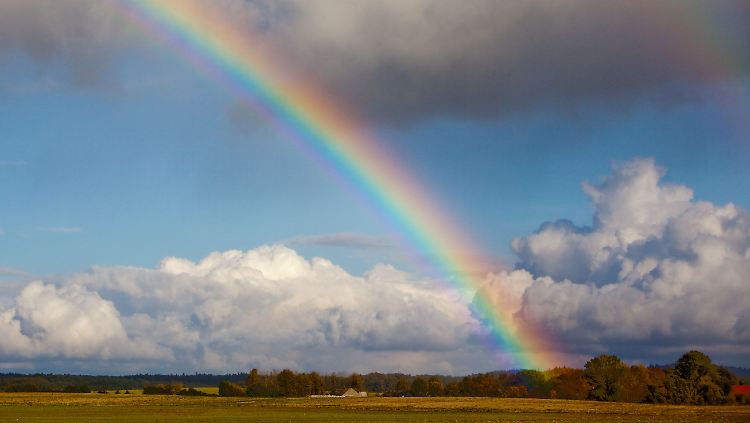 Ein Regenbogen spannt sich über die Landschaft. Doch warum ist er gebogen?