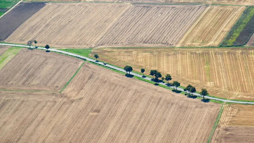 Im-zu-Ende-gehenden-Sommer-fiel-zu-wenig-Regen