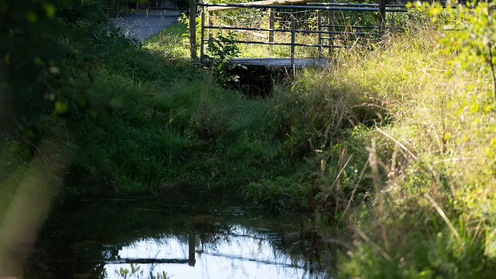Unter-der-Bruecke-hatten-Anwohner-schon-frueh-den-Geruch-mitbekommen