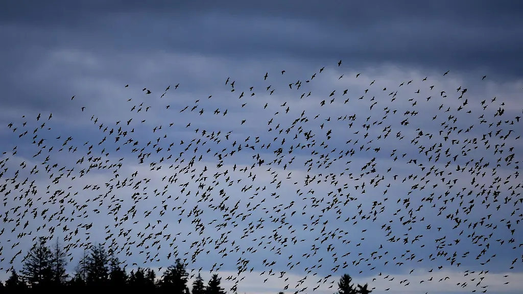 Wolken-und-Regen-zeigen-sich-vermehrt-am-Wochenende-Symbolbild