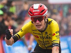 Team ermahnt Hobby-Sportler: Verfolgt von Fan? Rad-Superstar Vingegaard stürzt