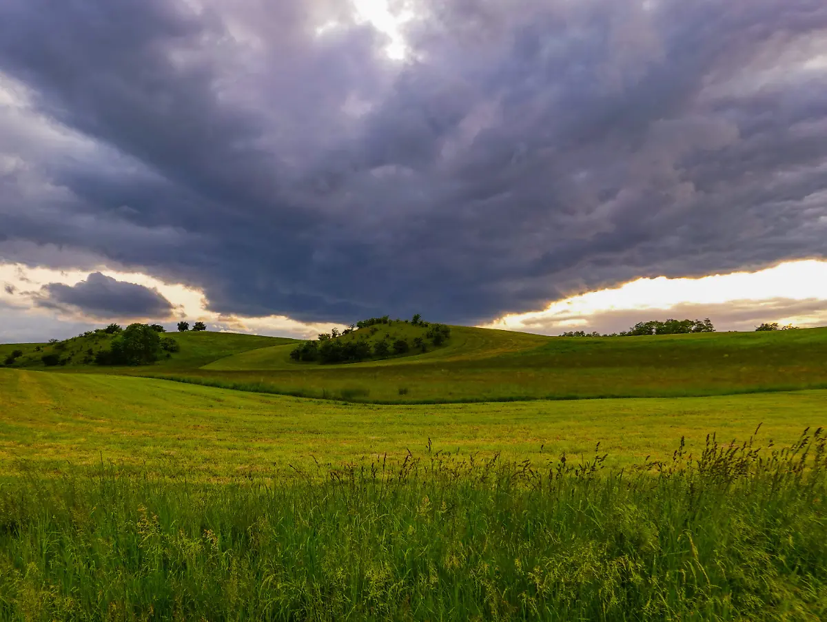 fefc90f95b9a46d661394d12bdb1f21b