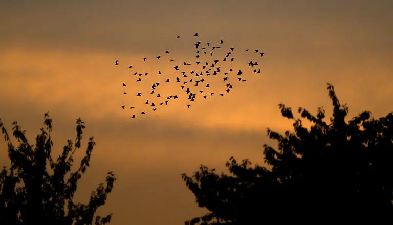 238ed745f7e78aa11c1ef411db32b59e