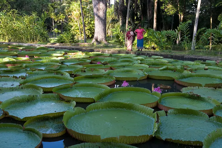 Bild-11-von-40-2007-04-12-049