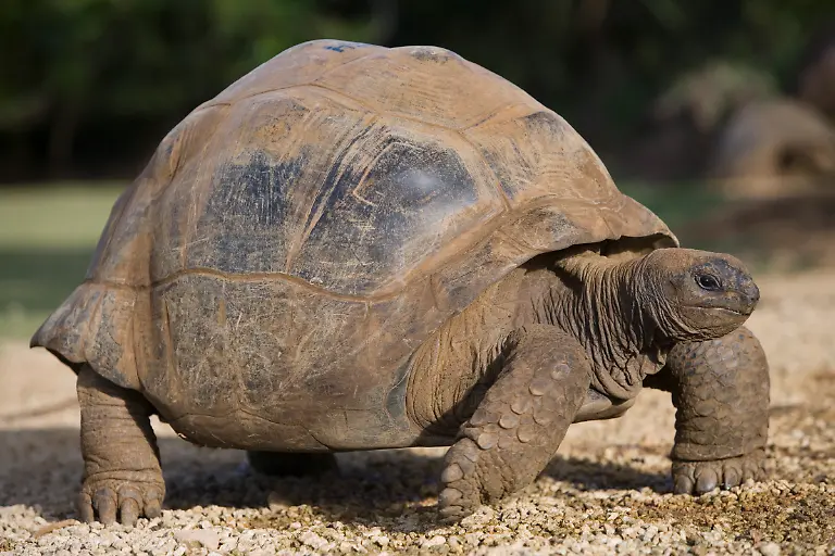 Bild-12-von-40-2007-04-15-040