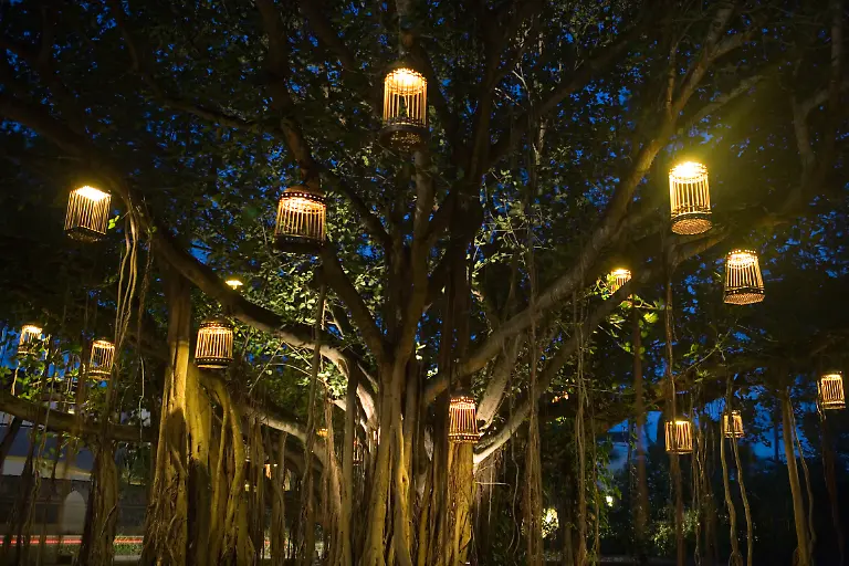 Bild-17-von-40-2007-04-12-068-1