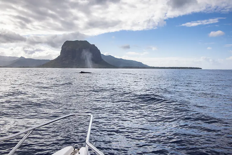 Bild-21-von-40-2024-09-03-010