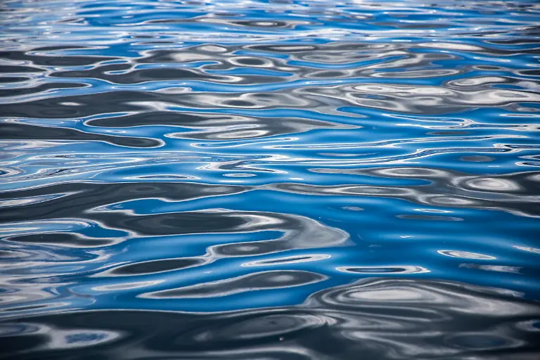 Bild-22-von-40-2024-09-03-022