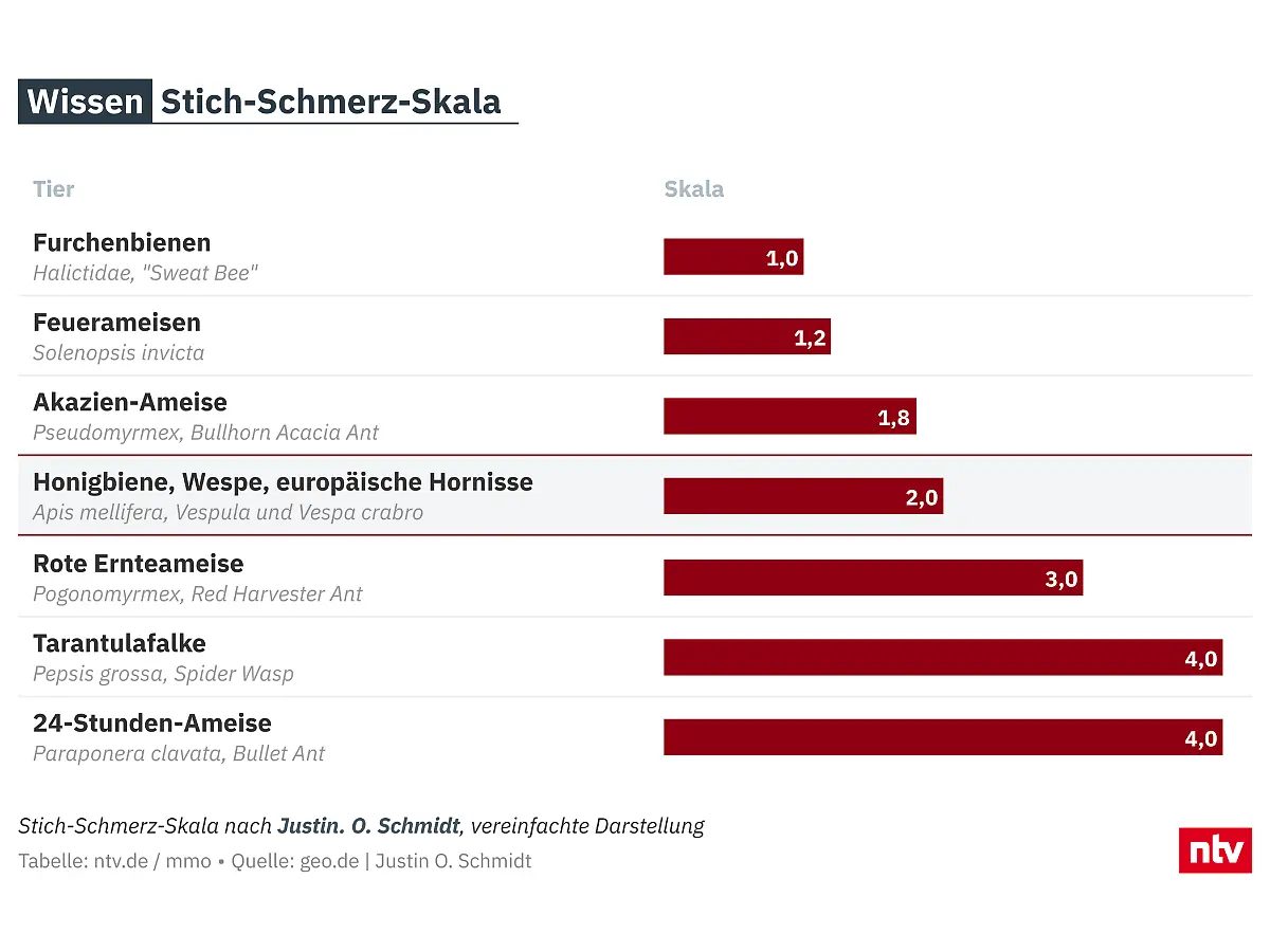2025-09-03-Stichschmerzskala-isHj5-komplett-4x3