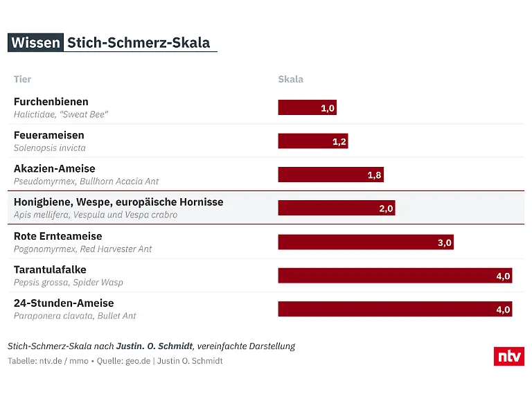 2025-09-03-Stichschmerzskala-isHj5-komplett-4x3