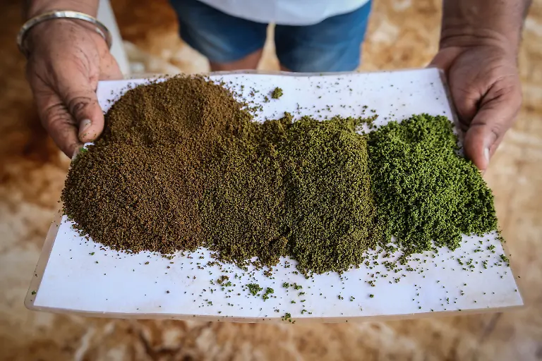 2025-09-04T080237Z-1078777817-RC26TFATO3PW-RTRMADP-3-INDIA-TEA-SUPPLY