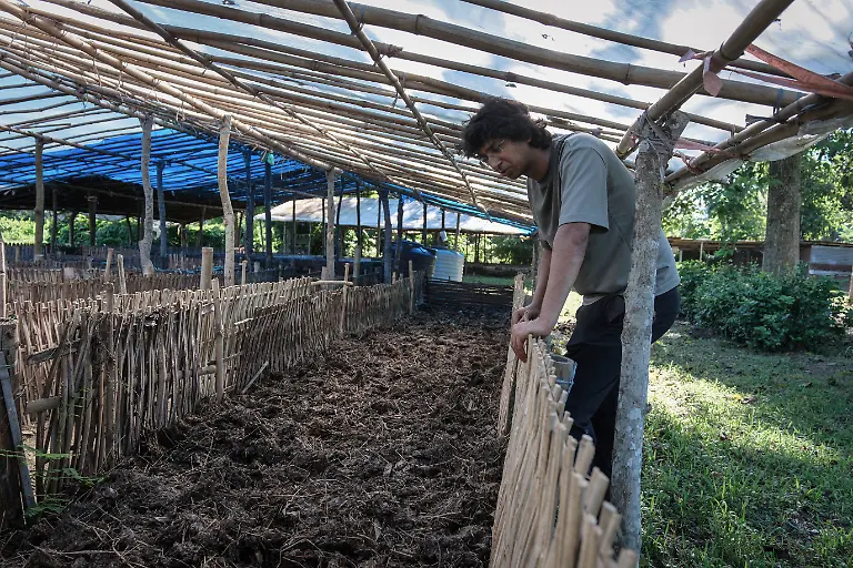 2025-09-04T080255Z-667209290-RC2YSFALDUWS-RTRMADP-3-INDIA-TEA-SUPPLY