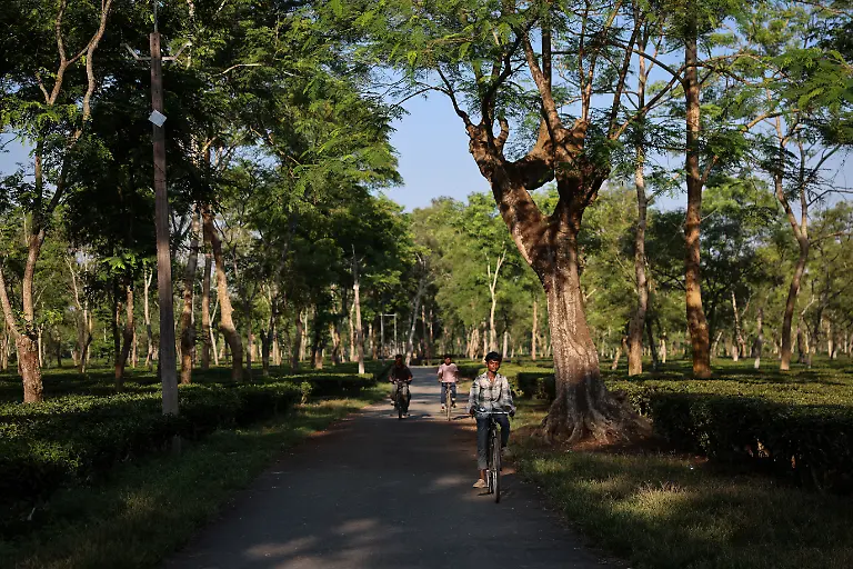 2025-09-04T080238Z-1419726713-RC2ISFA63AXG-RTRMADP-3-INDIA-TEA-SUPPLY