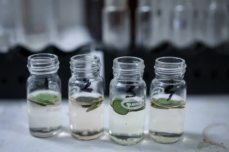 2025-09-04T080318Z-1600605530-RC2UTFAAVKS3-RTRMADP-3-INDIA-TEA-SUPPLY