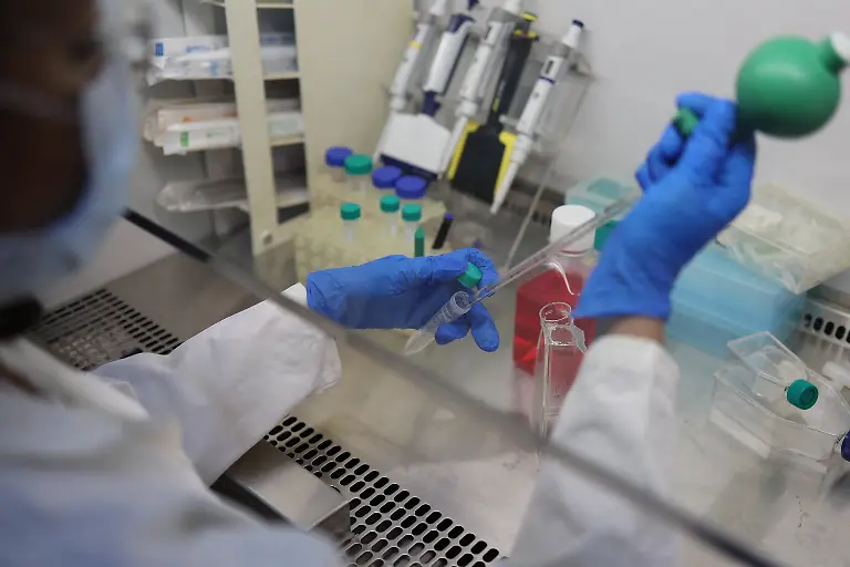 2025-09-04T080317Z-98792561-RC2LTFAUF4DK-RTRMADP-3-INDIA-TEA-SUPPLY